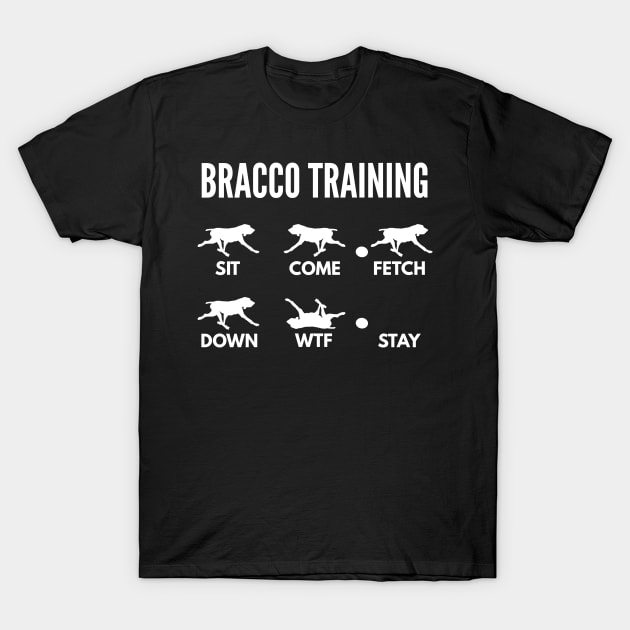 Bracco Italiano Training Italian Pointer Tricks T-Shirt by DoggyStyles